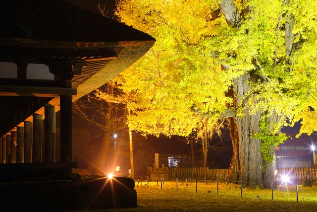 喜多方　新宮熊野神社　長床　大イチョウ
